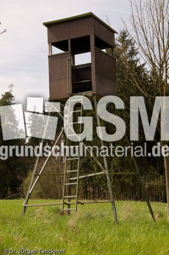 Hochstände (67 von 154).jpg